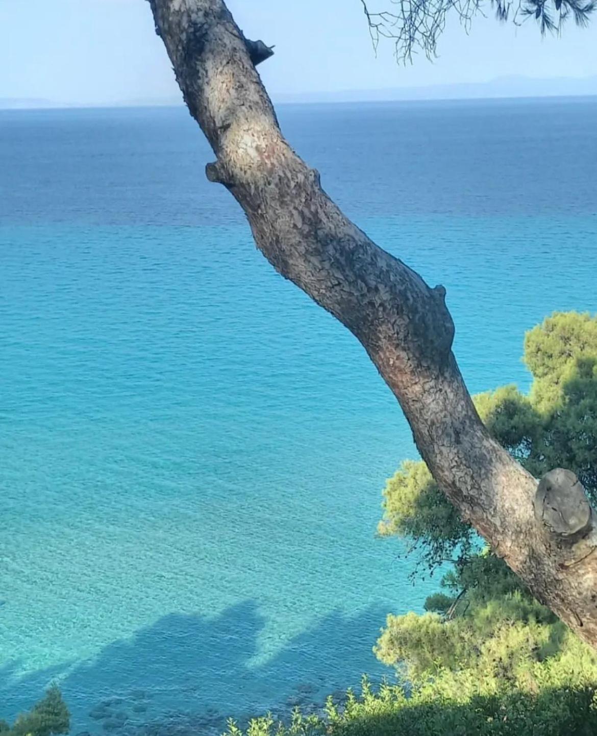 Villa Palma Kallithea  Eksteriør billede